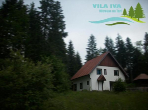 Vila Iva